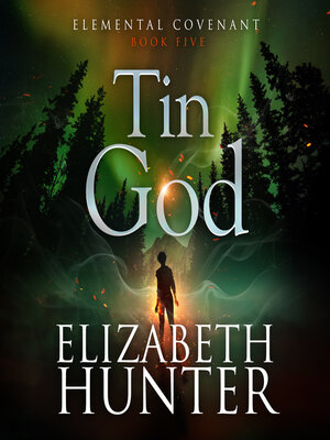 cover image of Tin God
